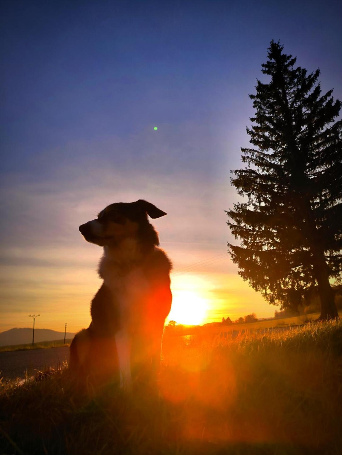 Pokojiky Na Vetrne Malsin Buitenkant foto