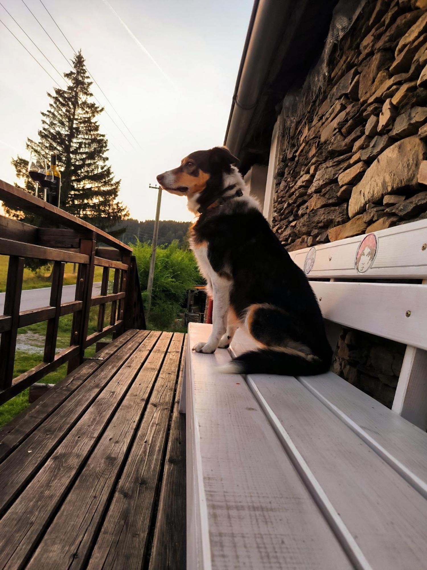 Pokojiky Na Vetrne Malsin Buitenkant foto