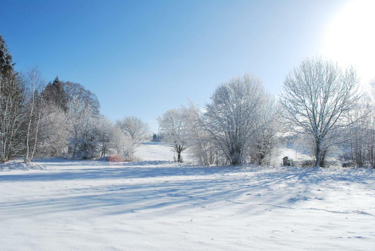 Pokojiky Na Vetrne Malsin Buitenkant foto
