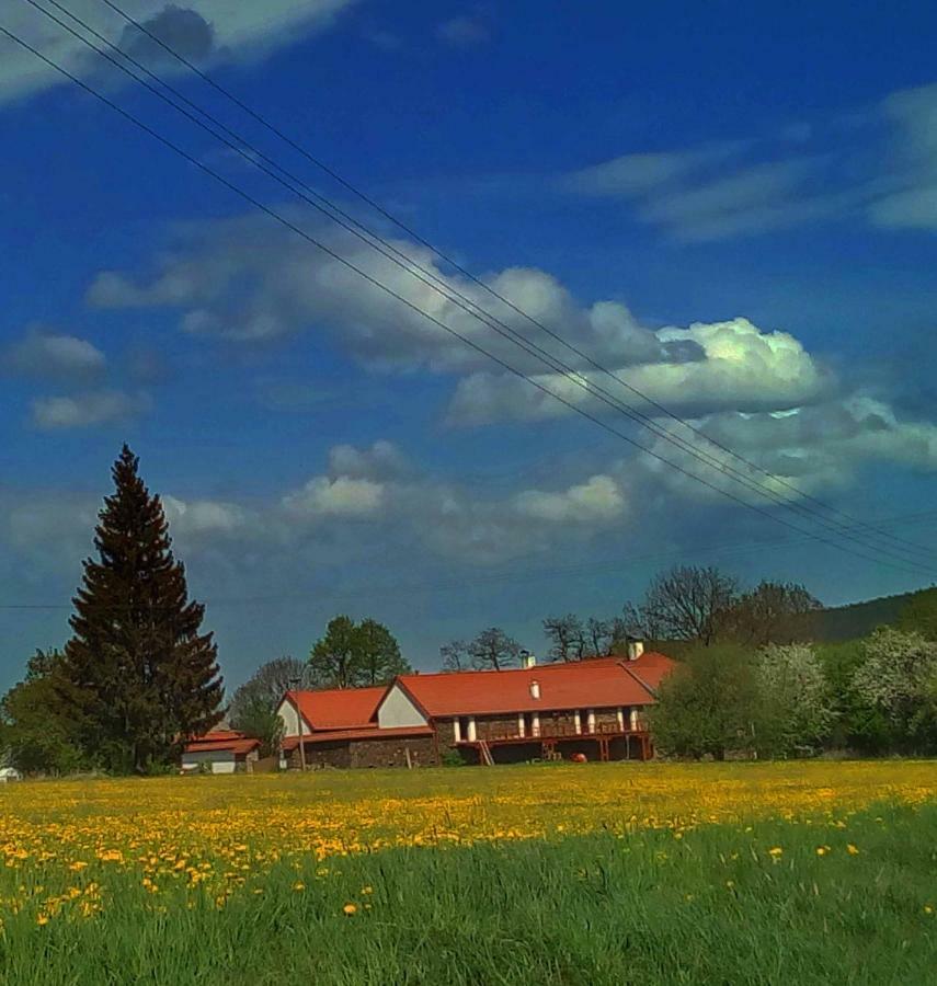Pokojiky Na Vetrne Malsin Buitenkant foto